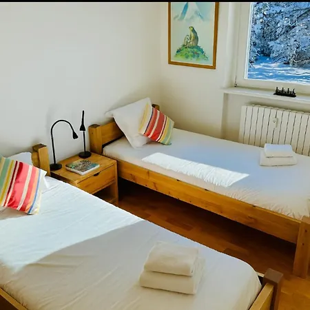 Magical Balcony On The Alps Cozy Alpine Charm 公寓