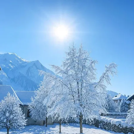 Magical Balcony On The Alps Cozy Alpine Charm Appartement *